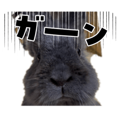 merrykun_20260410203152