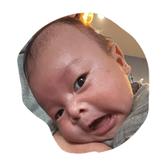 Reito_20260410203413