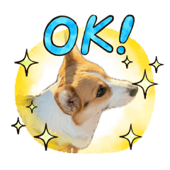 Tsuna_20260410203423