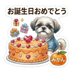 Hashimo_20260410203616