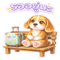 Jinnee is a Beagle