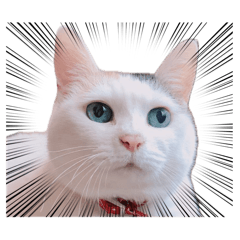 kiki chan_20260410223134