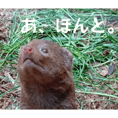 nonono_20260406191932