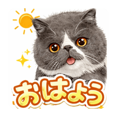 Raimu-mam_20260410165957