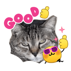 Michiyo_20260410170857