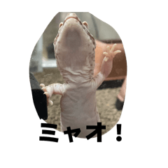 Liencourt_20260410171442