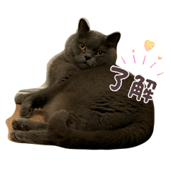 KAMATARI_20260410214442