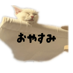 sakusauku0131_20260410214346