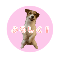 heiomachi_20260410214600