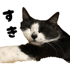 tama2sai_20260410215602