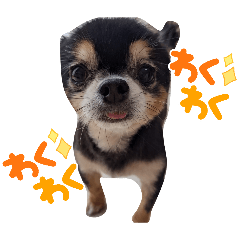 kotteri_20260410224847