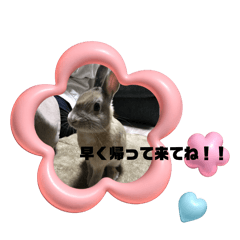 natsumi_20260410225935