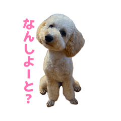 ryuka_20260410225502