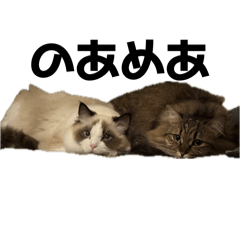 Assirumu_20260410230255