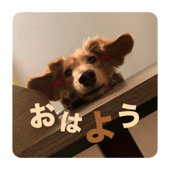 masaki_20260410232848