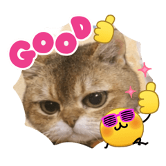 Michiyo_20260410174527