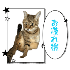 Shiraishi_20260410230834