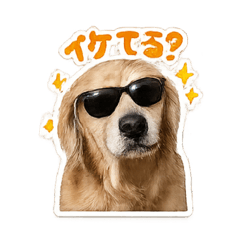 yuuuu_20260411011437