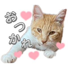 mommy_20260411013747