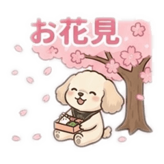 sora kun_20260411014412