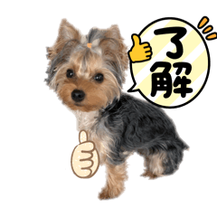 remochiyo_20260411012028