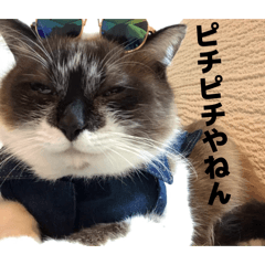 RAImari_20260410185409