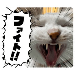 omatsuri_20260410185305