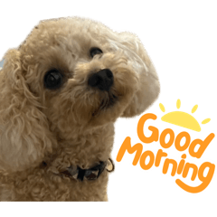 wakuwakusan_20260410185404