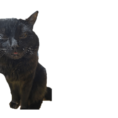 English_20260410190023