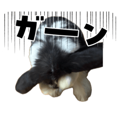 chanm._20260410185822