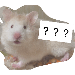 煙煙鼠鼠小貓貓