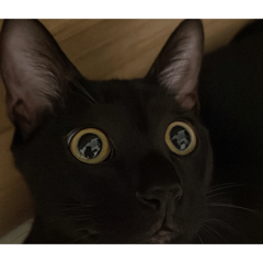 五萬的日報表已更新