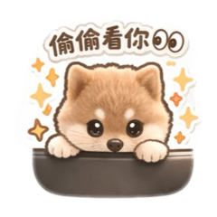 澎澎の可愛片段