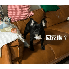 琪琪鬼表情2