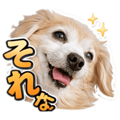 kiyoguu_20260411093518