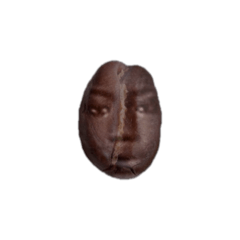 gorilla1_20260411111356