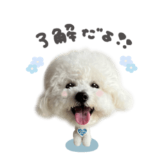 uchinoko_honpo._20260411095949