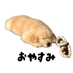 matuoka_20260411110650