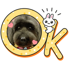 azukookJK_20260411112138