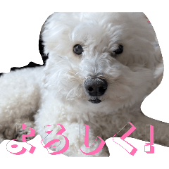 hageyamahageta_20260411111004