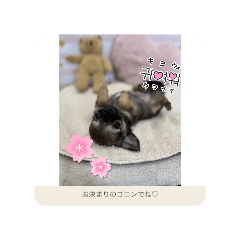 yuinana_20260411113423