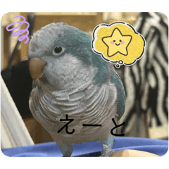 Love Bird_20260411093658