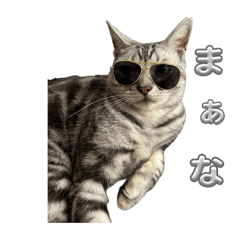 Ame+yuki_20260411111316