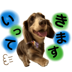 yuchan_20260411113125