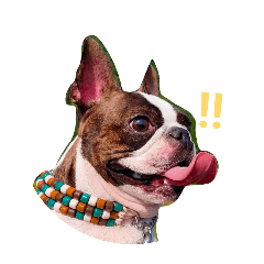 Qtaro_20260411004015