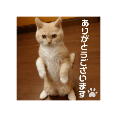 Mochikun_20260411004305