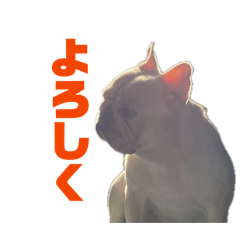 Haruharu_20260406211424