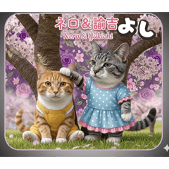 himayan_20260411005135