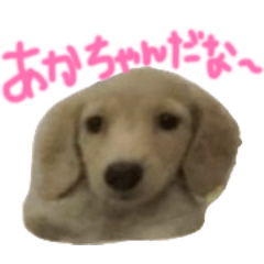 fuwarikawiistamp