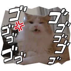 Kumiko_20260411010506